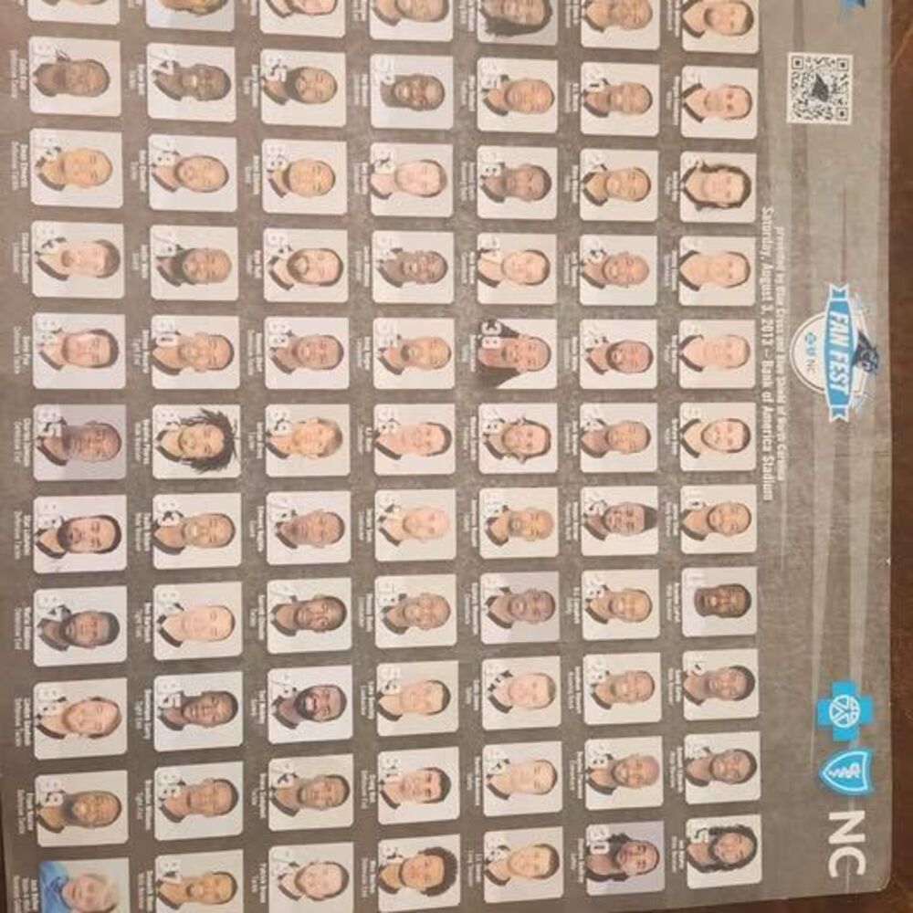 2013 Panthers FanFest team card